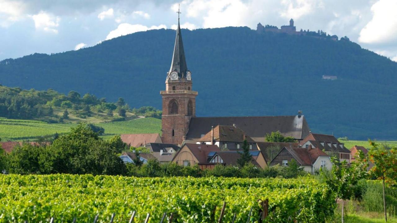 Le Petit Nid Bergheim Exterior foto