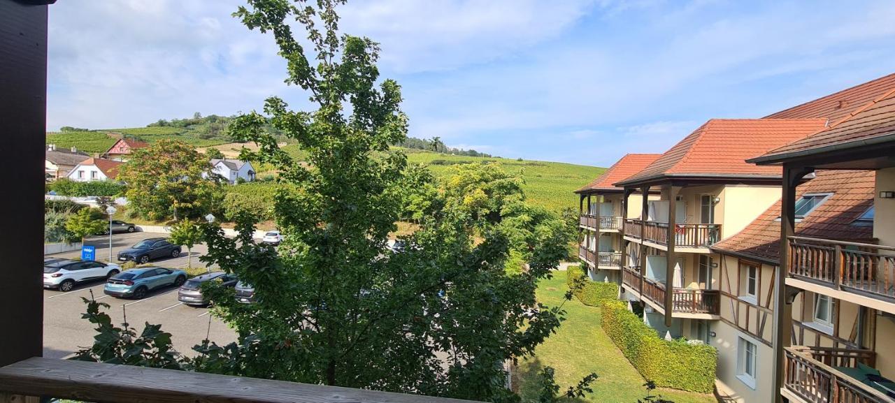 Le Petit Nid Bergheim Exterior foto