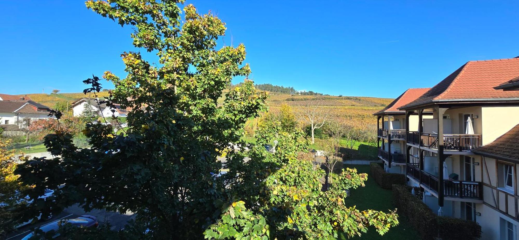 Le Petit Nid Bergheim Exterior foto
